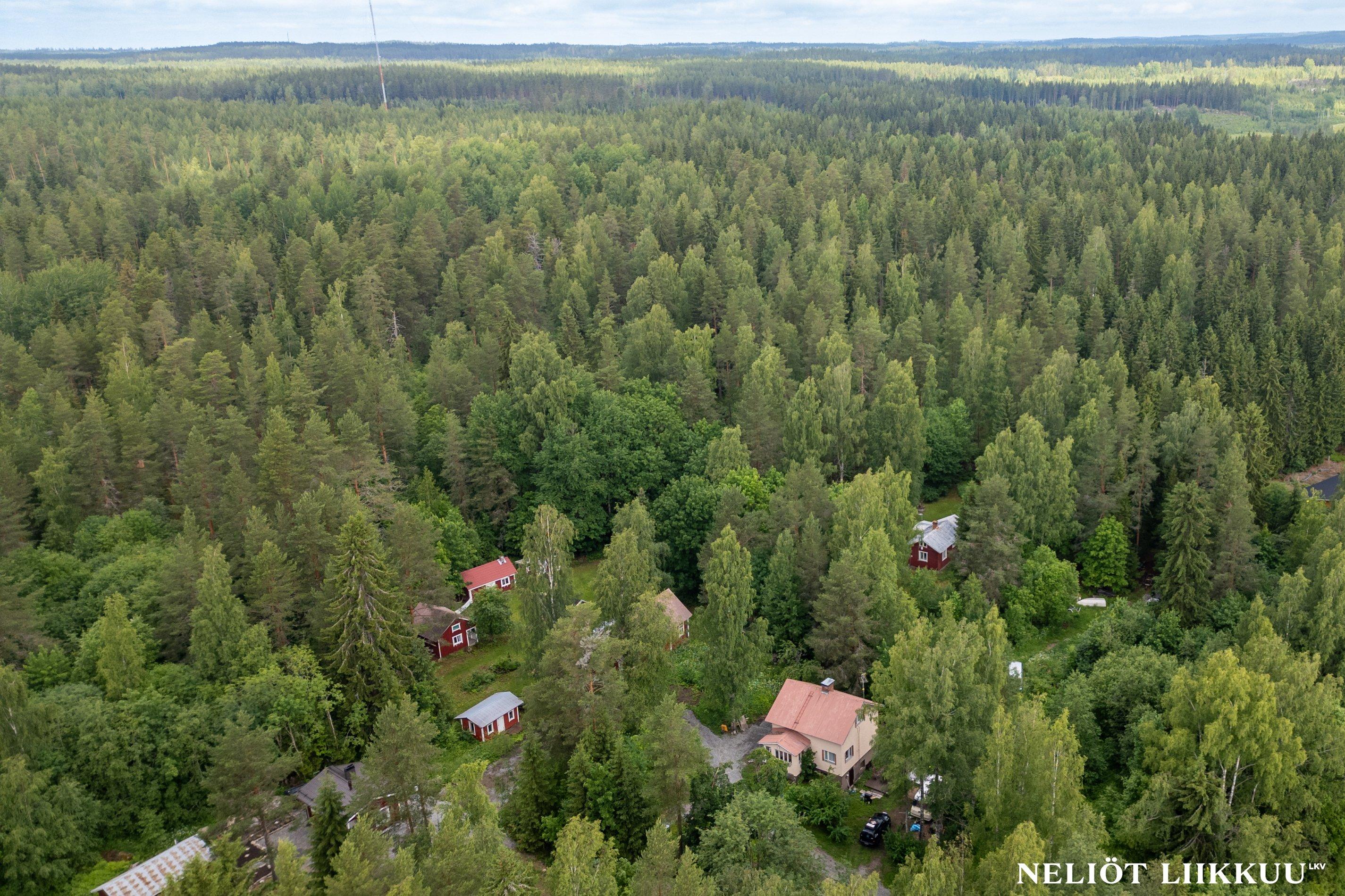 Seppä-Juhon tie 11